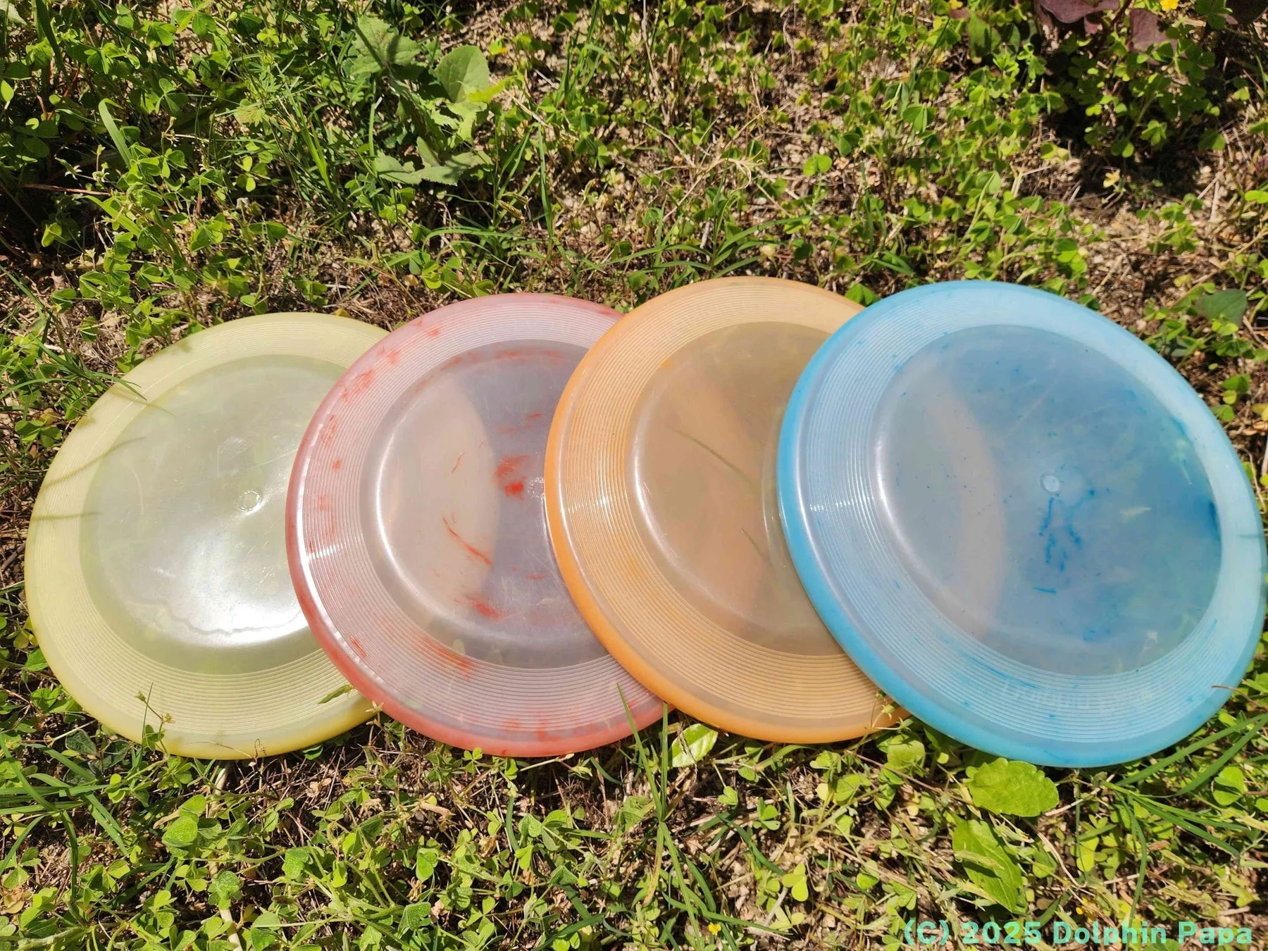 芝生に並べられたカラフルなフライングディスク