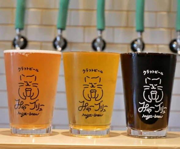 みゃーブリュー クラフトビール