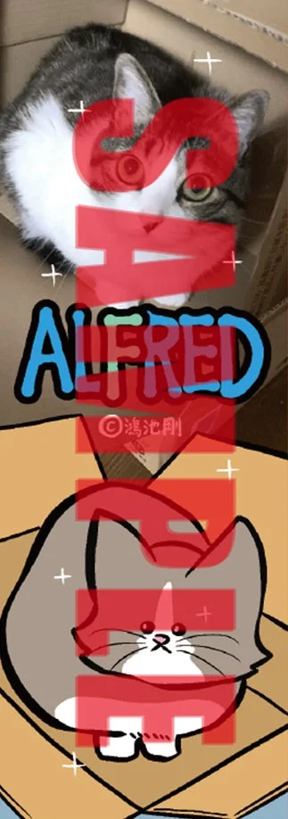 TSUTAYA特典 オリジナルしおり