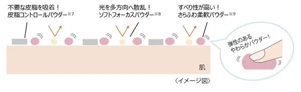 パウダー成分イメージ図