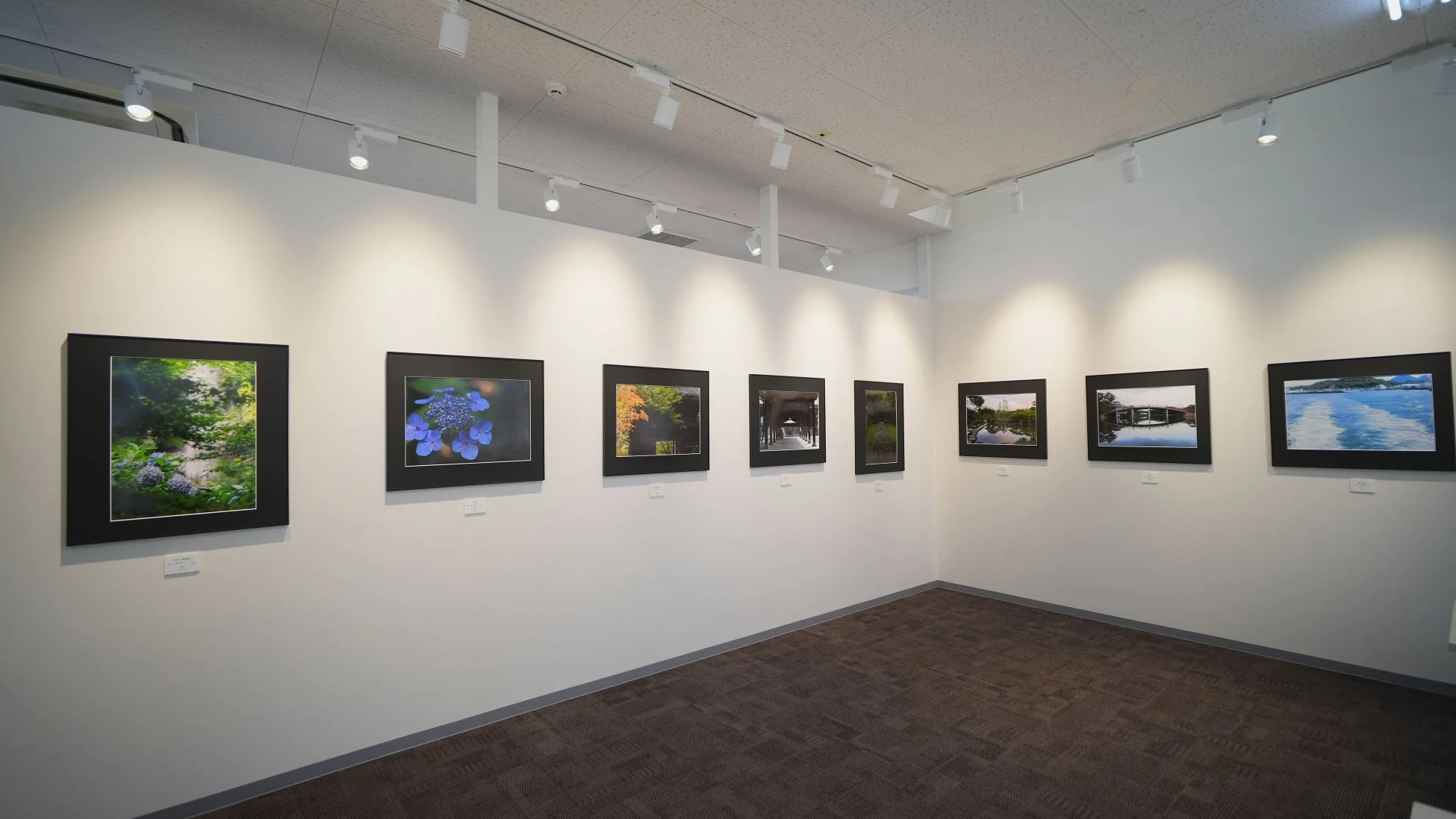 フォトギャラリー