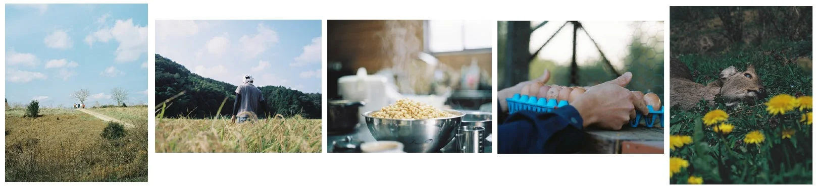 グランプリ作品「身土不二」