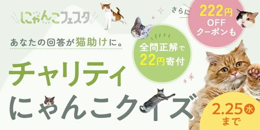 チャリティにゃんこクイズの告知