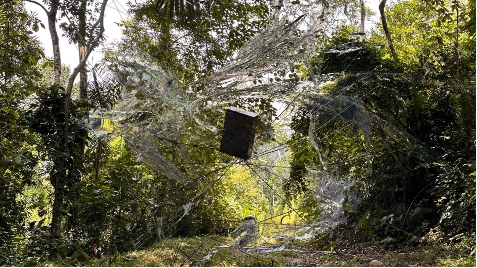 渋谷慶一郎のサウンドインスタレーション