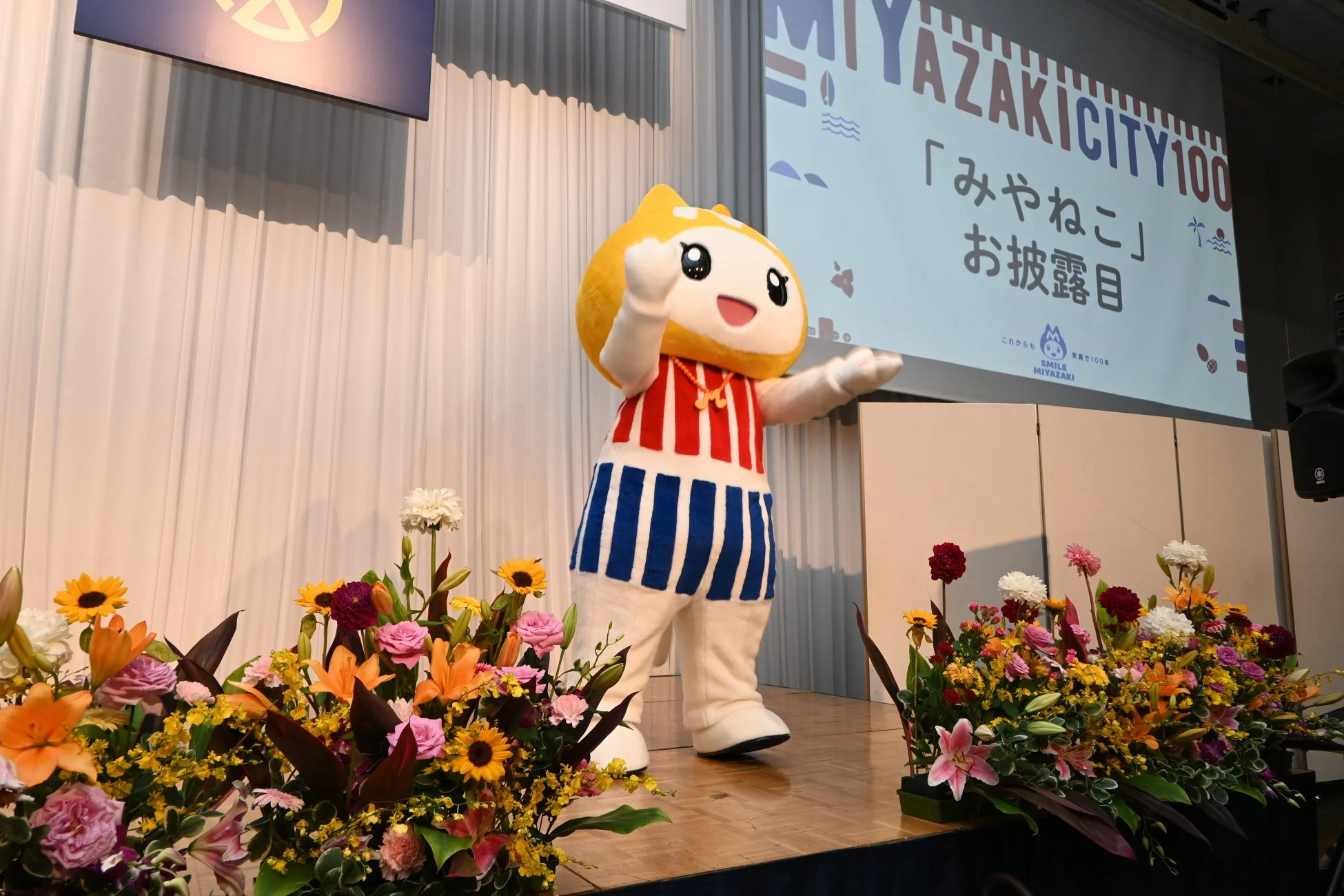 みやねこお披露目