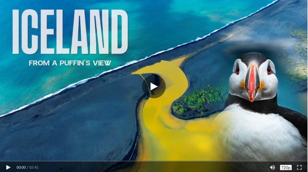 ニシツノメドリの視点から見たアイスランド