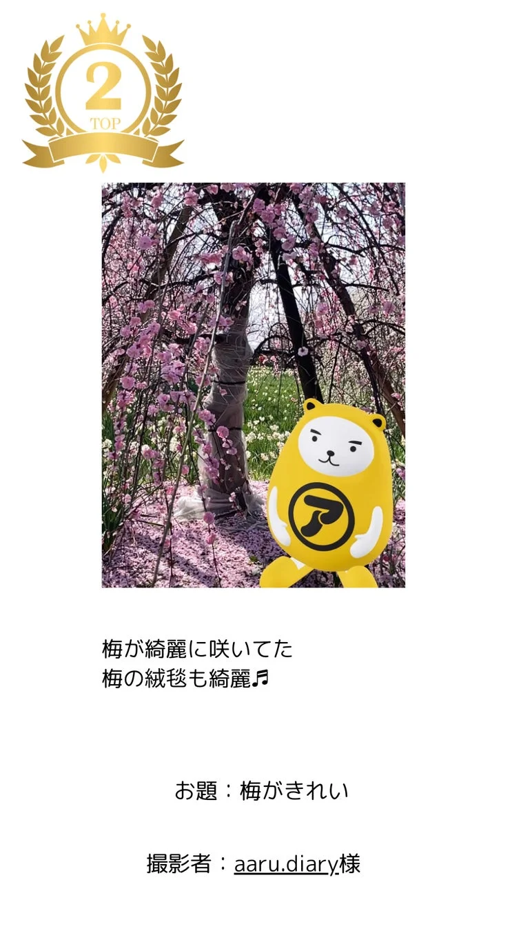 第32回入賞作品2位