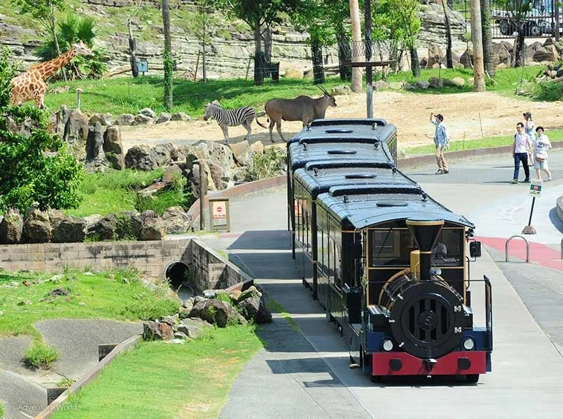 サファリパークを走るケニア号と動物たち