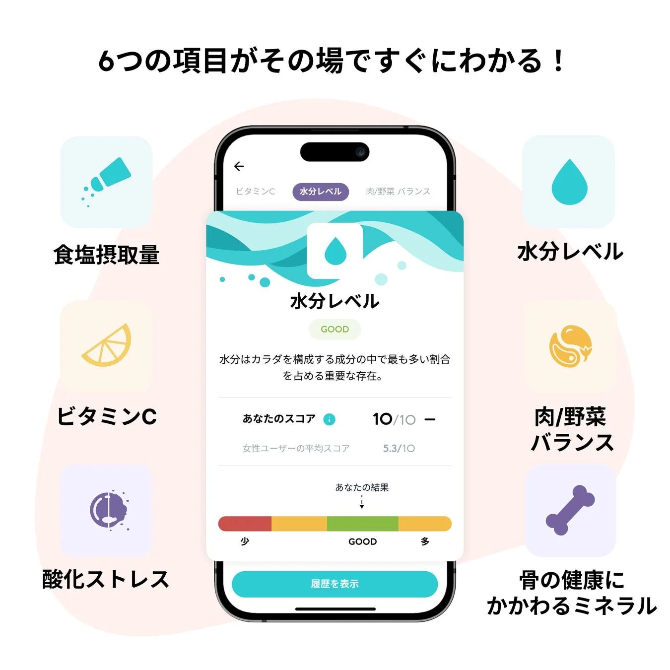 6つの項目がその場ですぐにわかる！