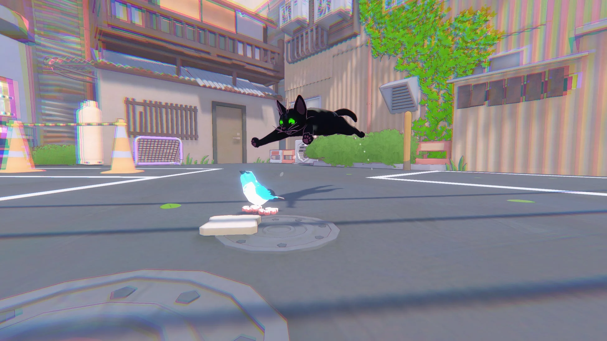 鳥に飛びかかる黒猫