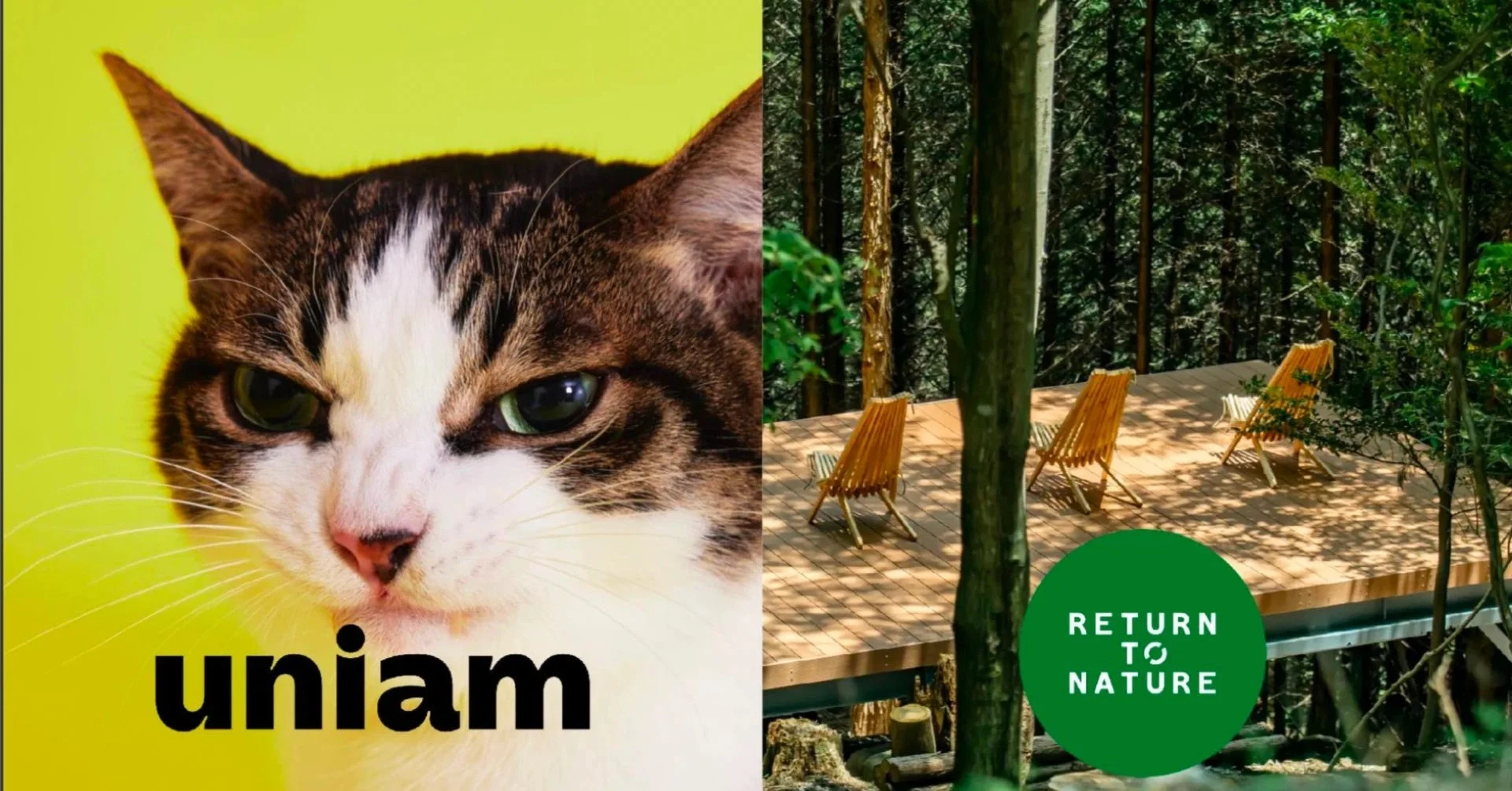 uniamとRETURN TO NATUREのイベントビジュアル