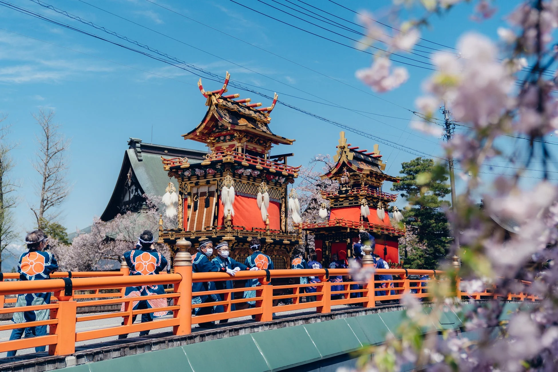 桜が咲き誇る春の日に、華やかな装飾の山車が橋を渡る日本の伝統的な祭りの様子。人々は法被を着ており、背景には神社が見えます。