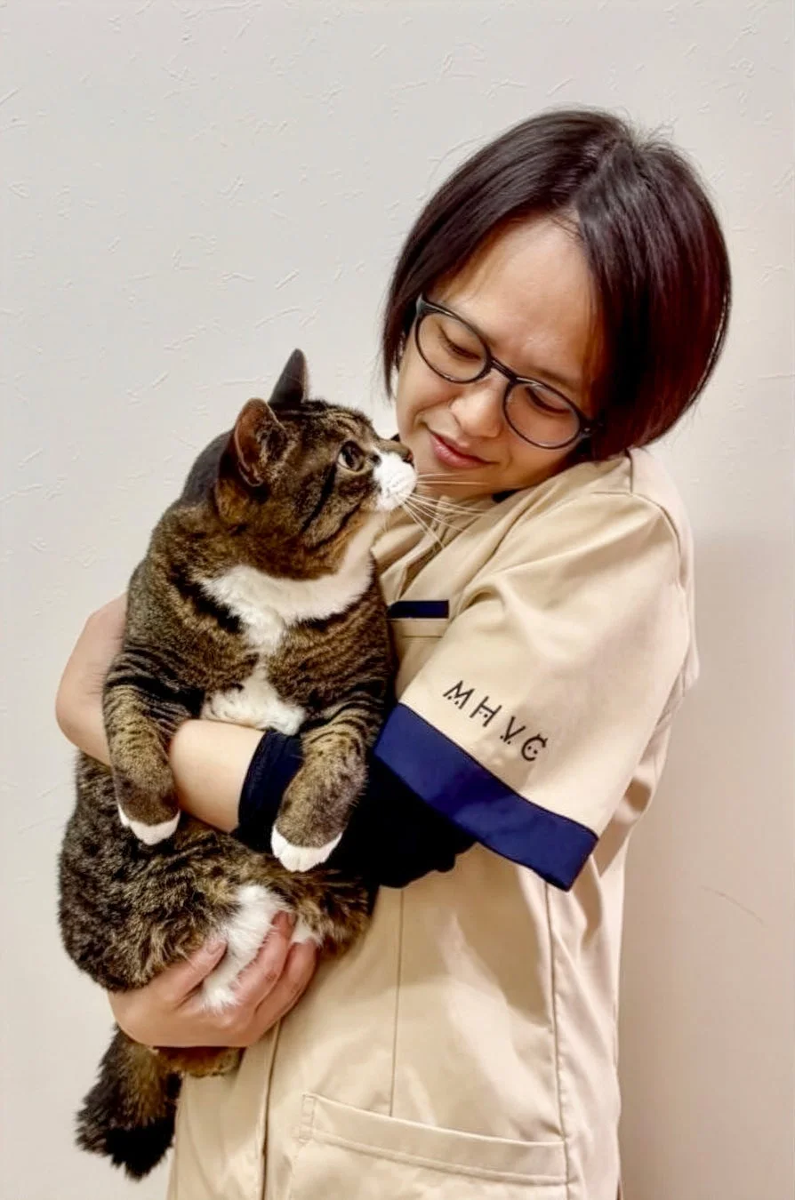 猫を抱きかかえる女性