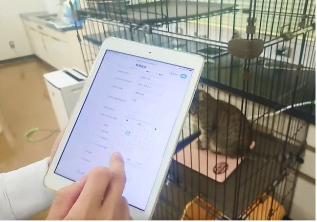 ケージの中にいる猫を背景に、人がタブレットを操作している様子です。タブレットの画面には「新規登録」と表示され、名前や生年月日などの情報を入力するフォームとカレンダーが見えます。動物の情報をデジタルで管理している状況を示唆しています。