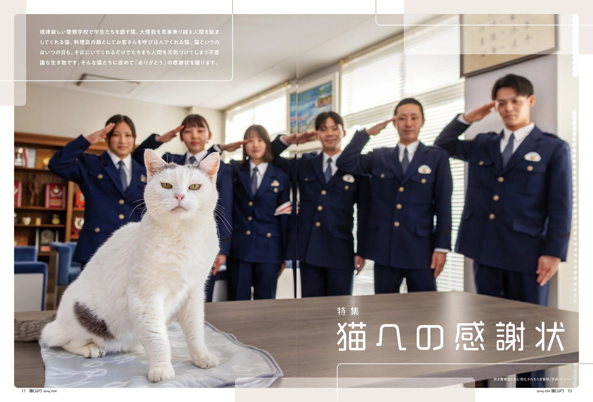 猫への感謝状特集導入、警察学校の猫