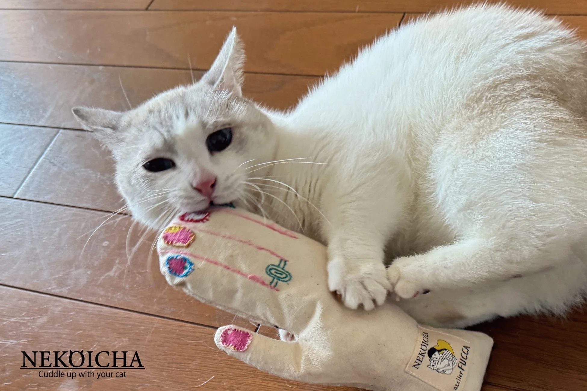 白い猫が手形のおもちゃを噛んで遊ぶ様子