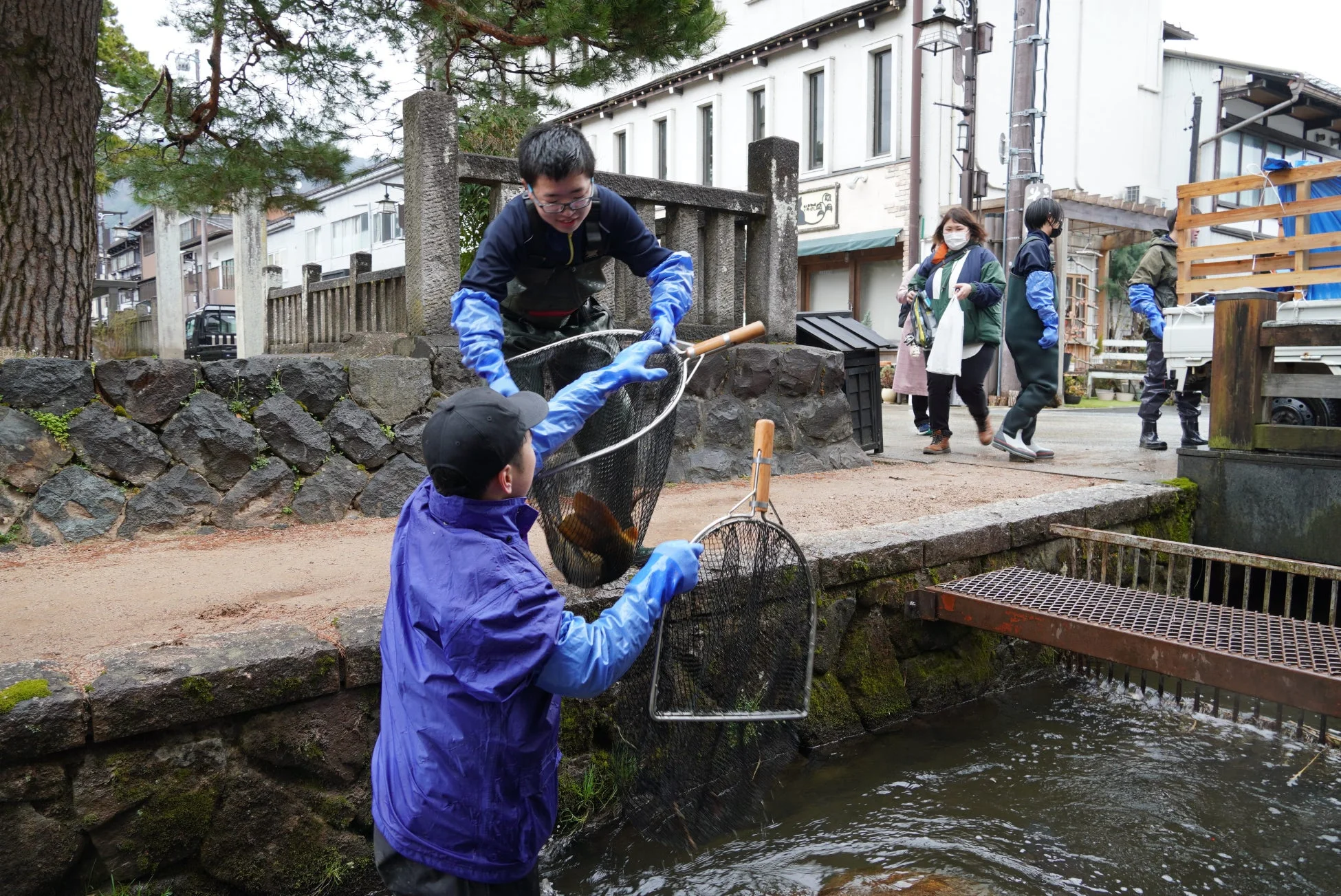 水辺で魚を網で扱う男性たち