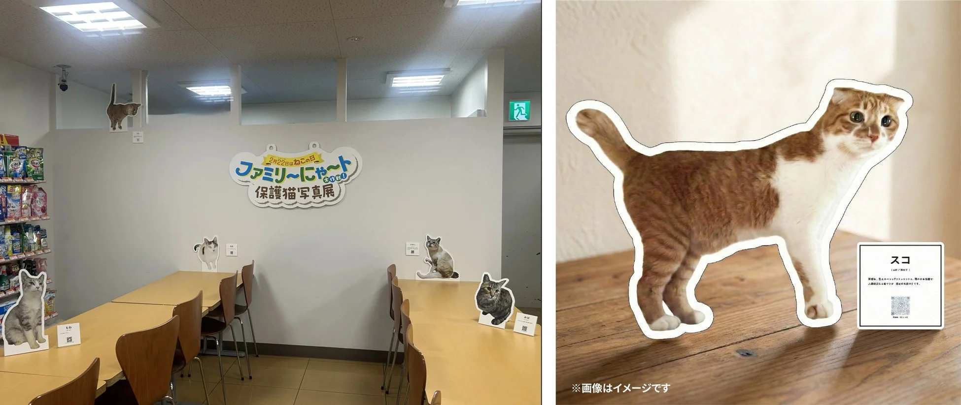 保護猫写真展の様子