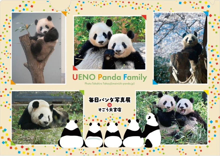 上野パンダファミリーの写真展宣伝