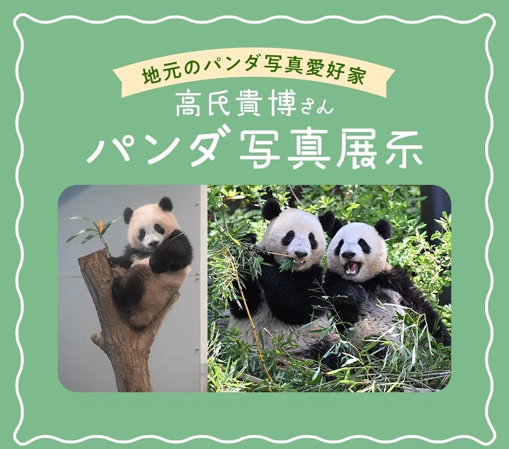 パンダ写真展示の告知