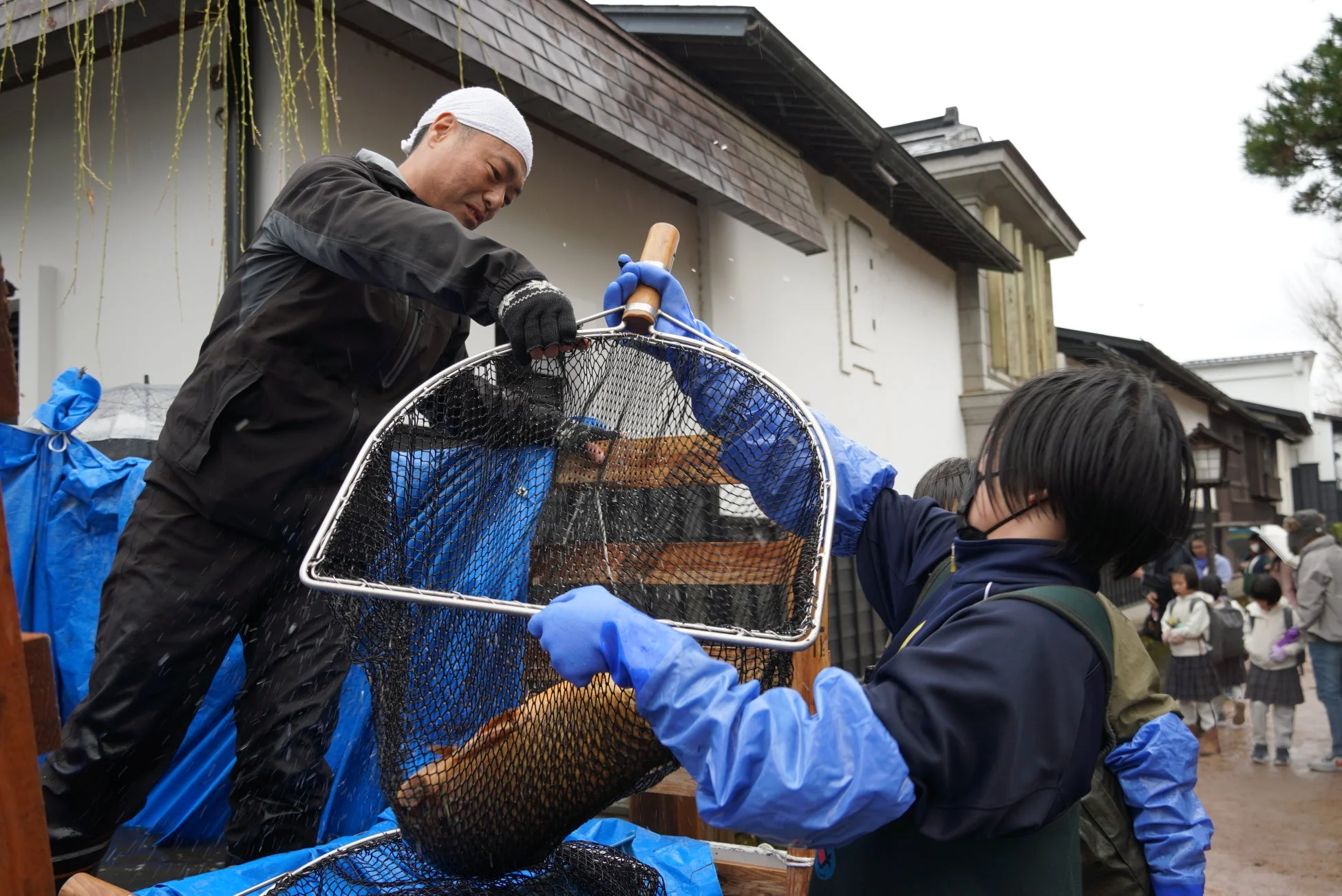 雨の中、魚を移す大人と子供