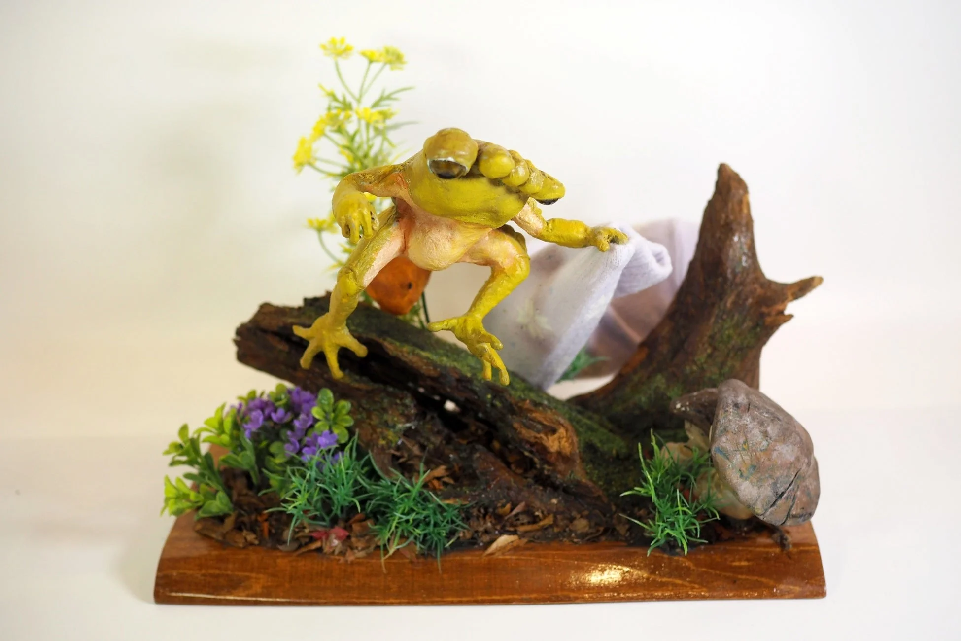 はだしんぼうとクツシタケ