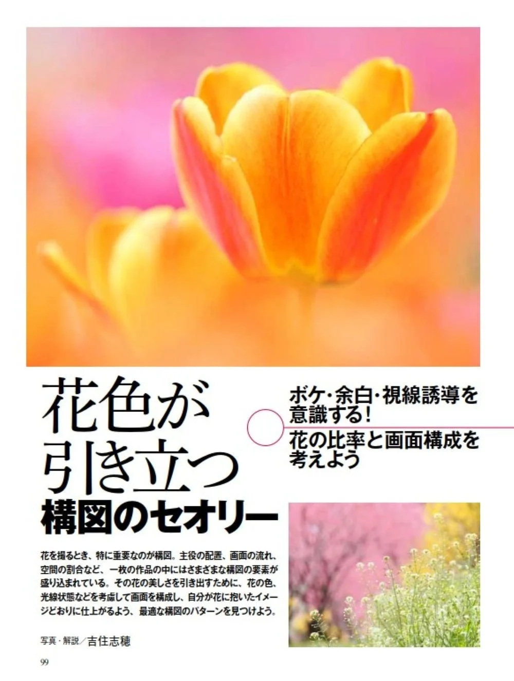 花色が引き立つ構図のセオリー