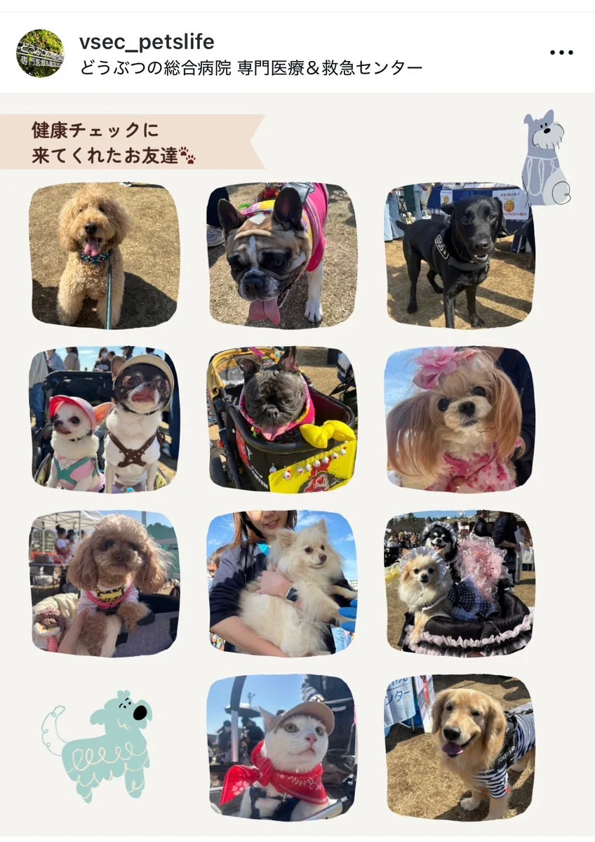 健康チェックに参加した犬猫たち