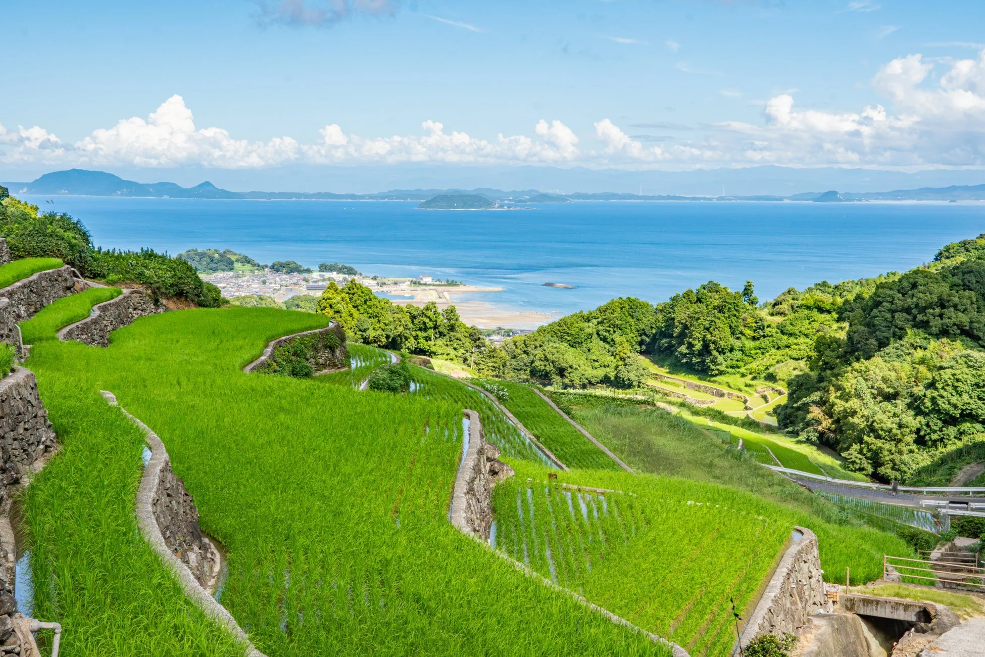 審査員賞「夏色に染まる海と棚田」