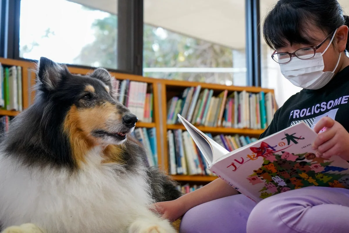 犬に本を読み聞かせる子ども
