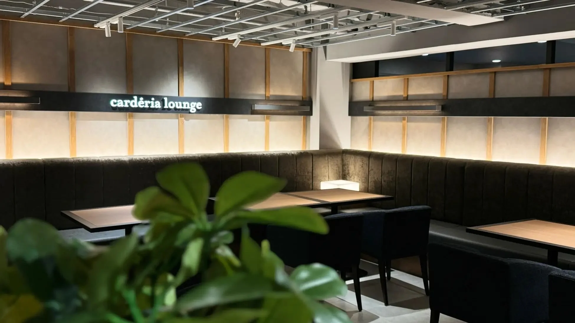 cardéria™ラウンジ