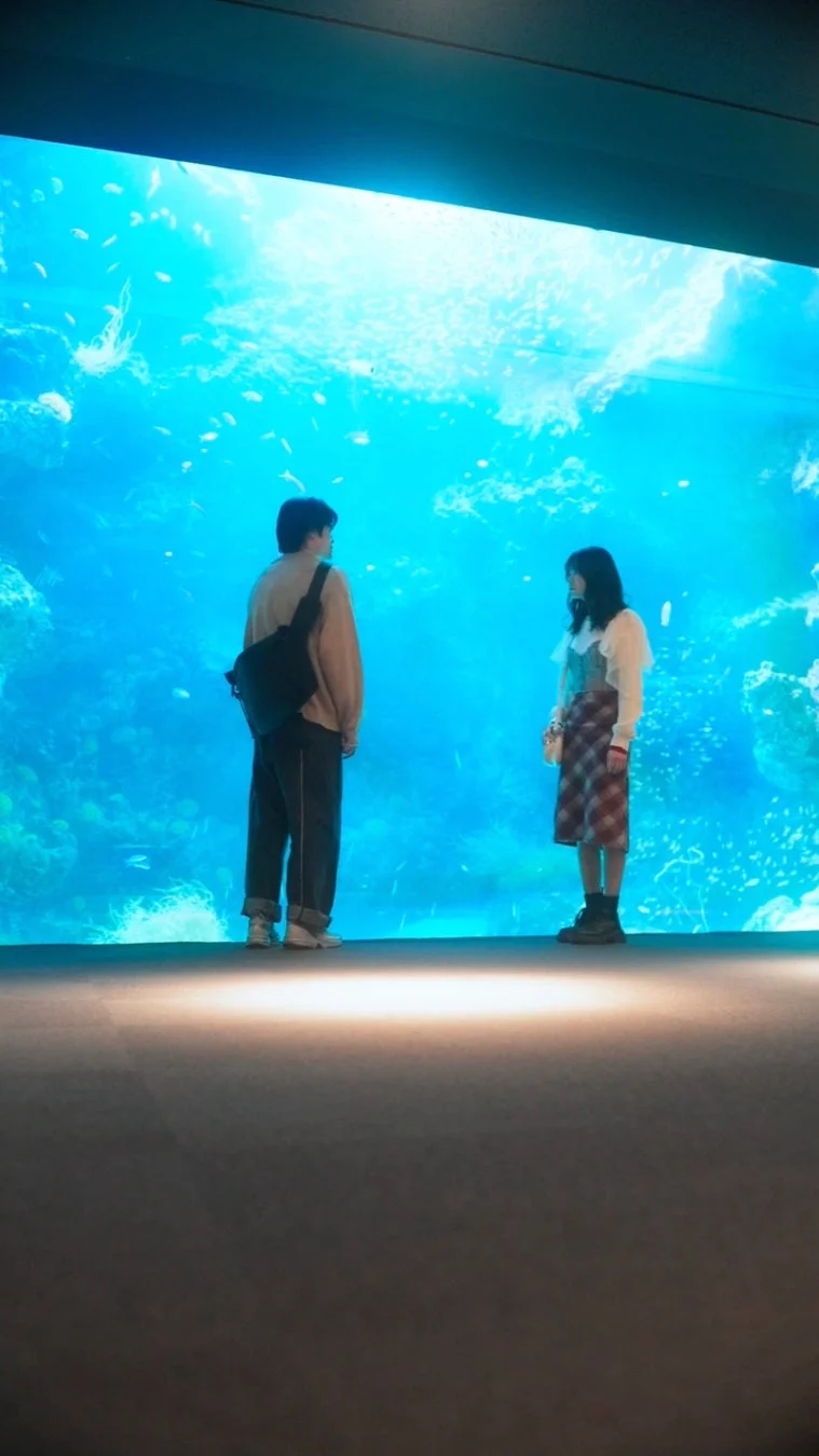 アクアマリンふくしまでのシーン