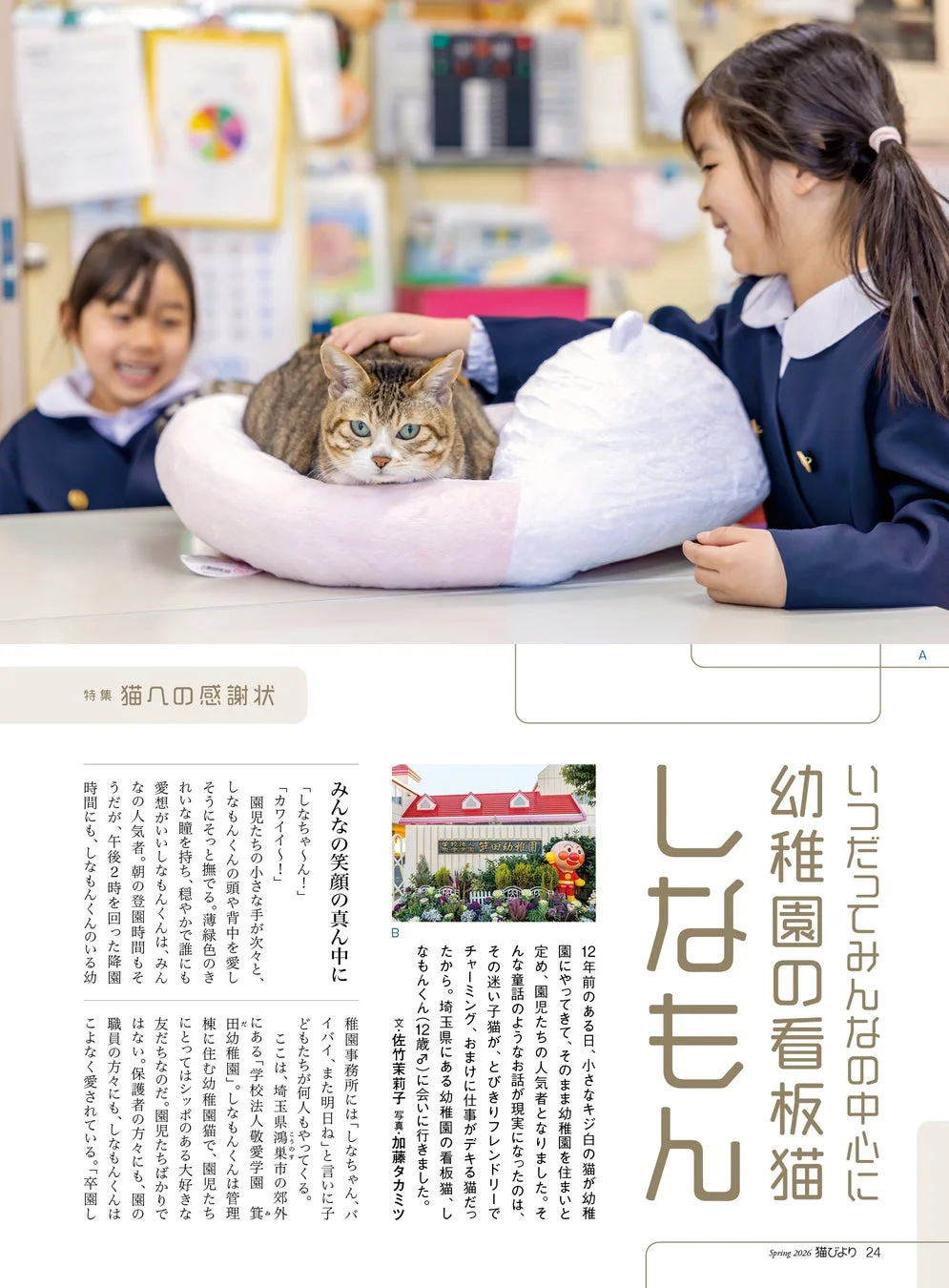 幼稚園の看板猫しなもん