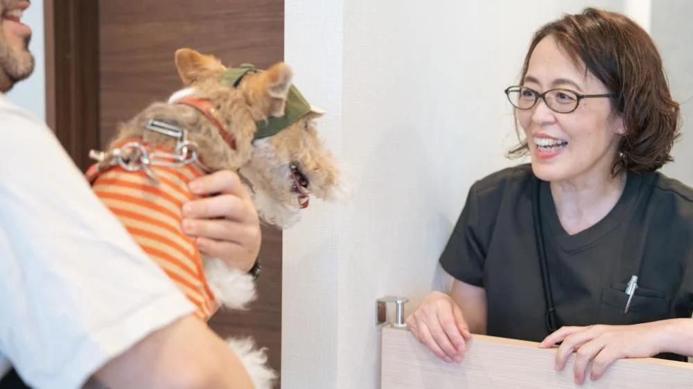 犬を抱いた飼い主と獣医が笑顔で会話する様子