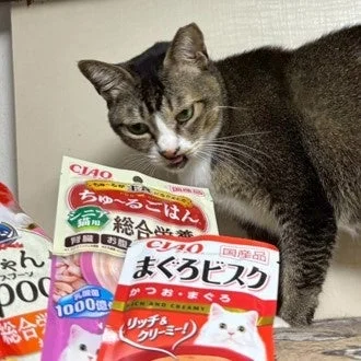 ペットフードに囲まれた猫