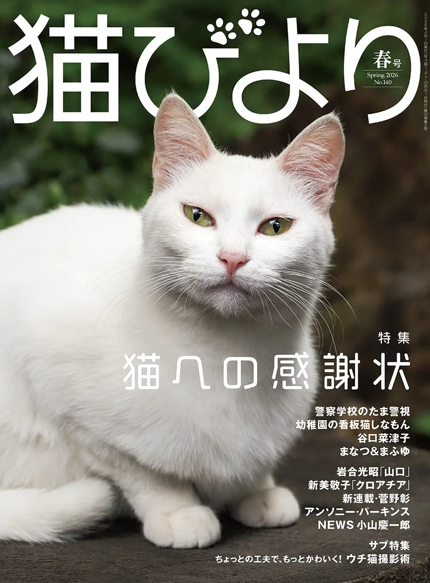 猫びより 春号表紙