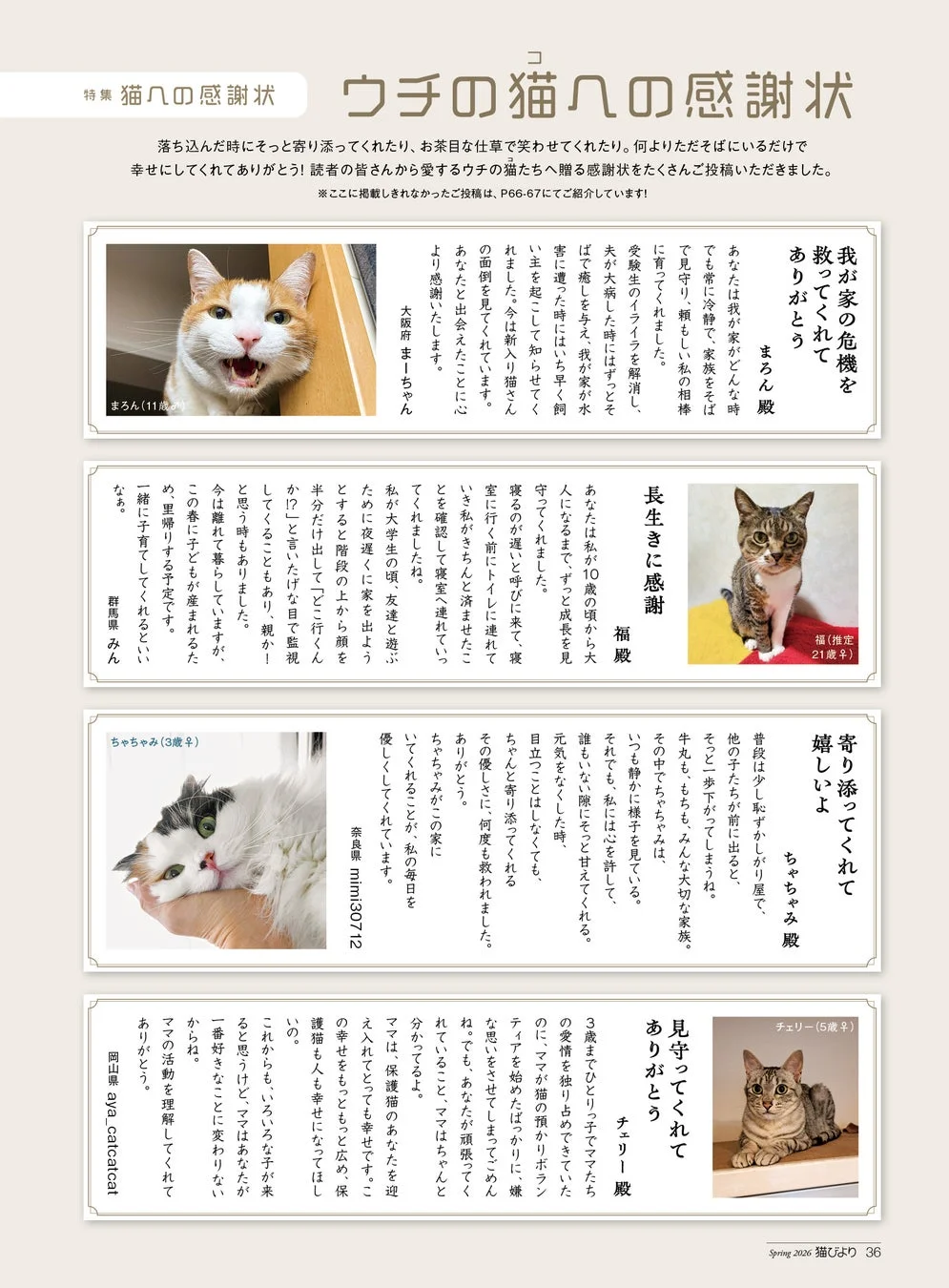 ウチの猫への感謝状