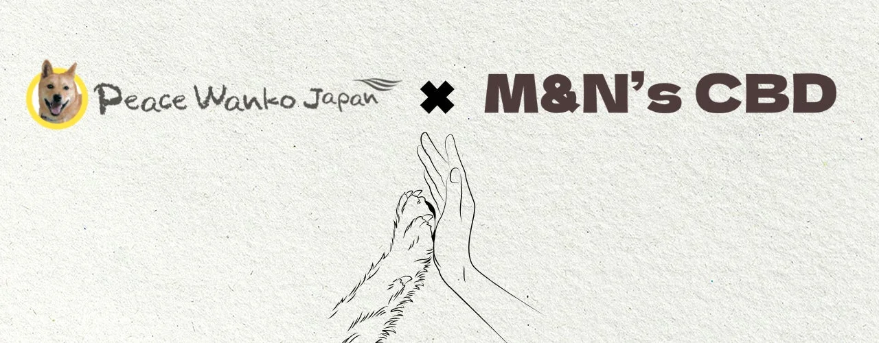 犬と人間の手がハイタッチしているイラスト