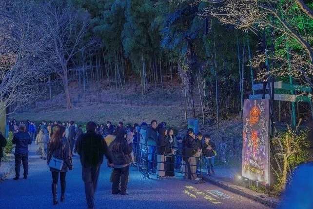 夜の森を歩くナイトウォーク