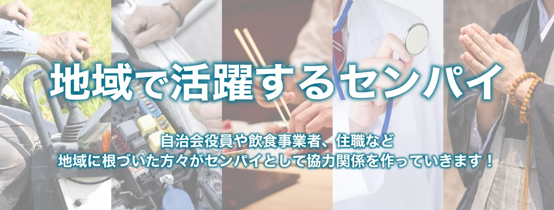 地域で活躍するセンパイ