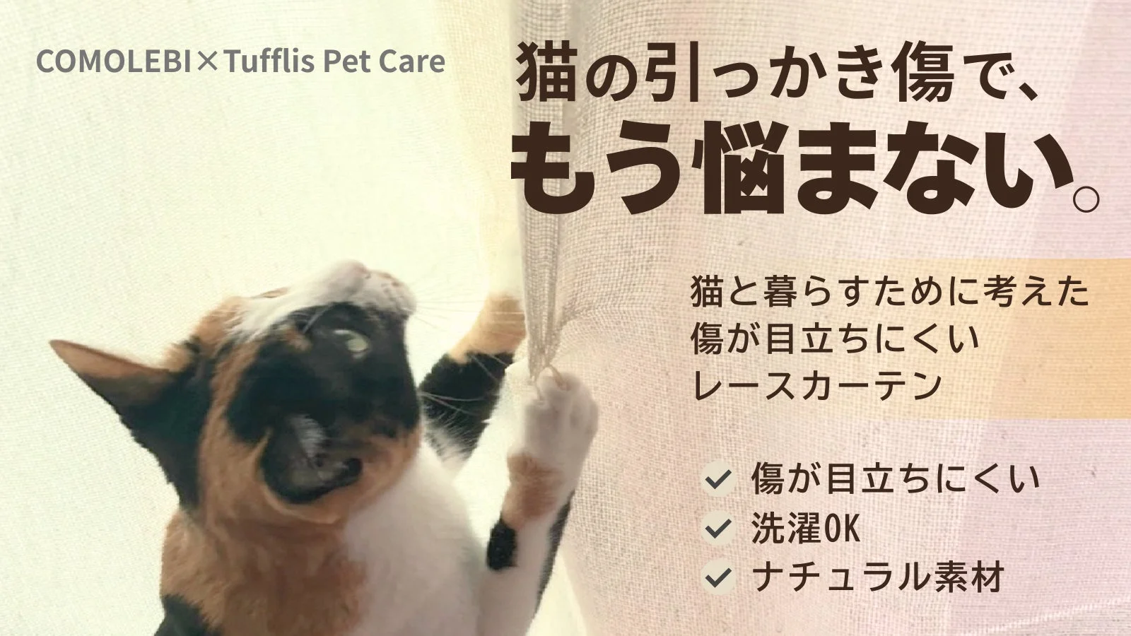 猫がカーテンにじゃれている様子
