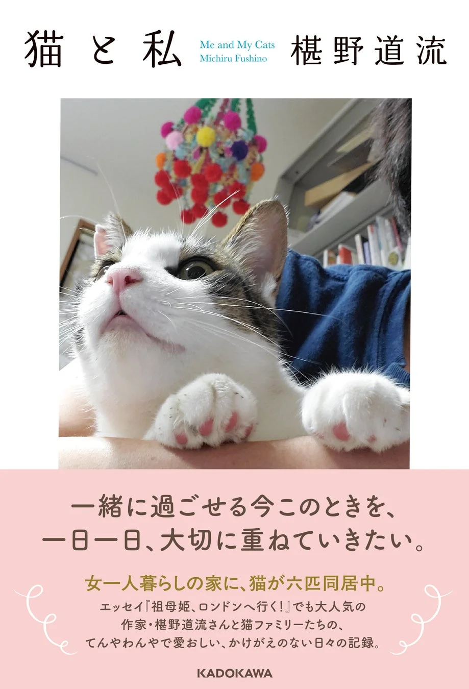抱っこされる猫