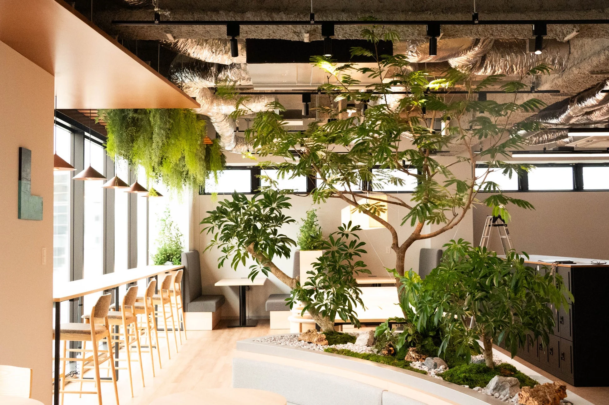 オフィス内の緑