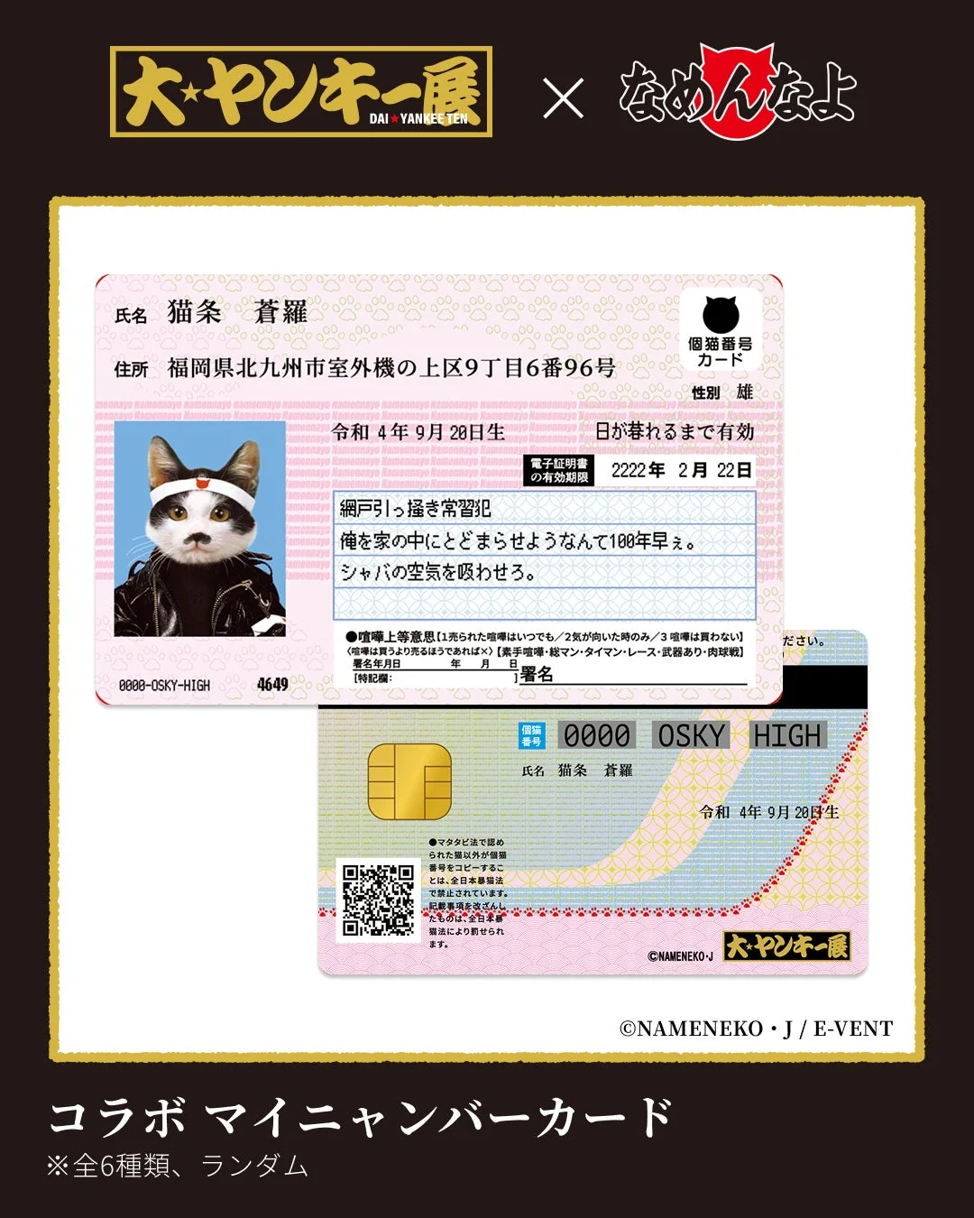 なめ猫とヤンキー展のコラボ「マイニャンバーカード」