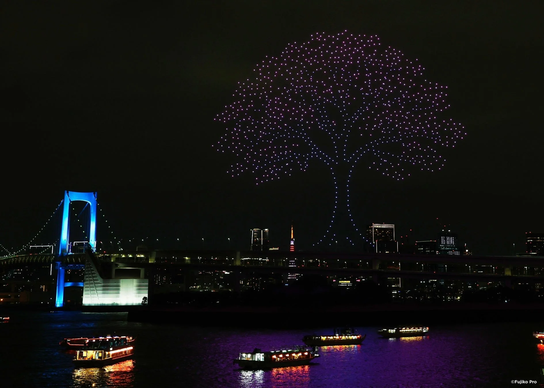 夜空に浮かぶ光の木とレインボーブリッジの夜景