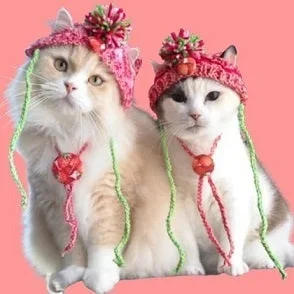 お揃いの帽子と首飾りをつけた猫たち