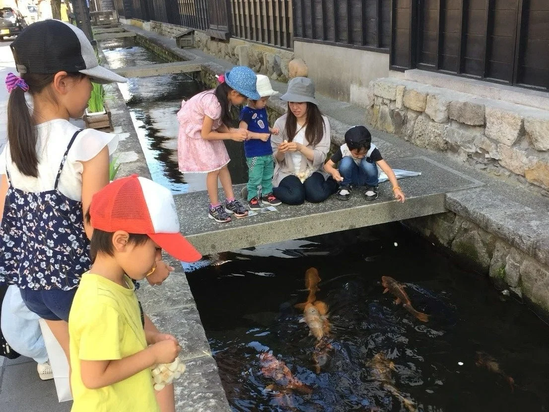 水路で鯉に餌をあげる家族