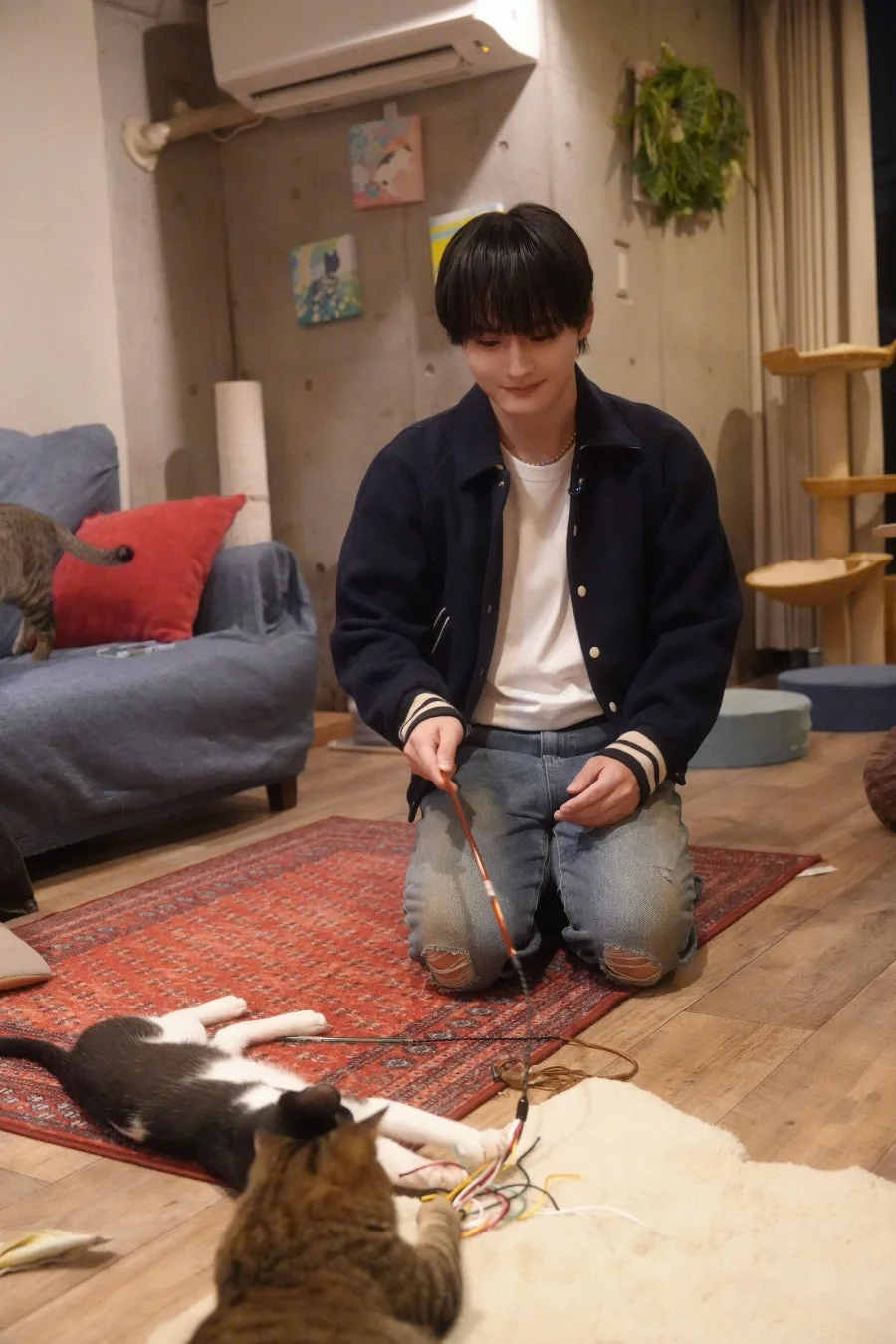 若い男性が室内で猫じゃらしを使って2匹の猫と遊んでいる様子