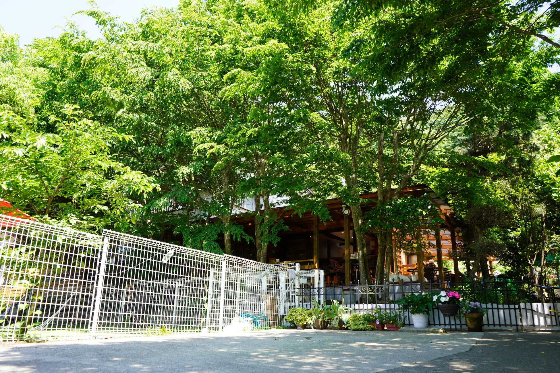 犬カフェ Maeraの建物外観