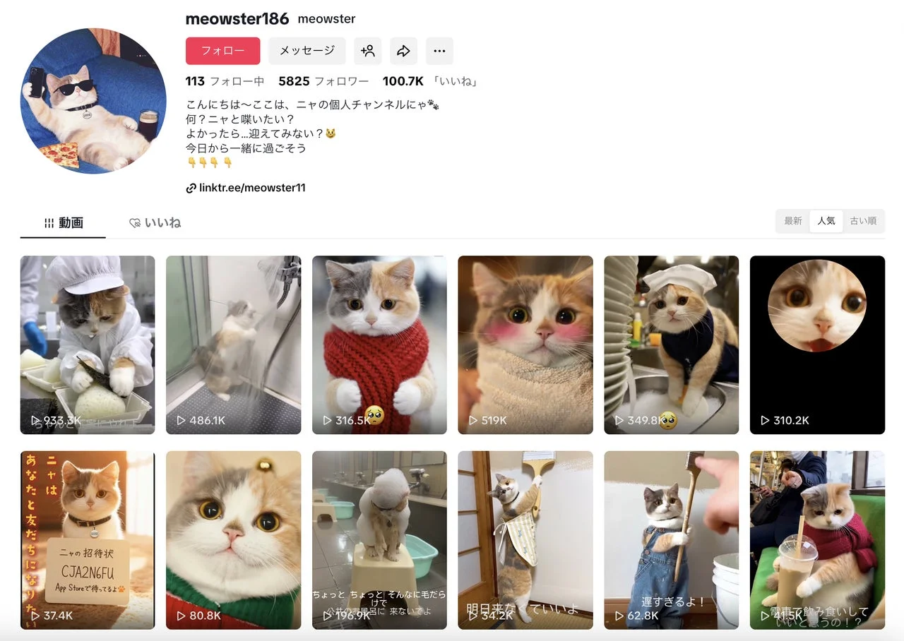 TikTokプロフィール